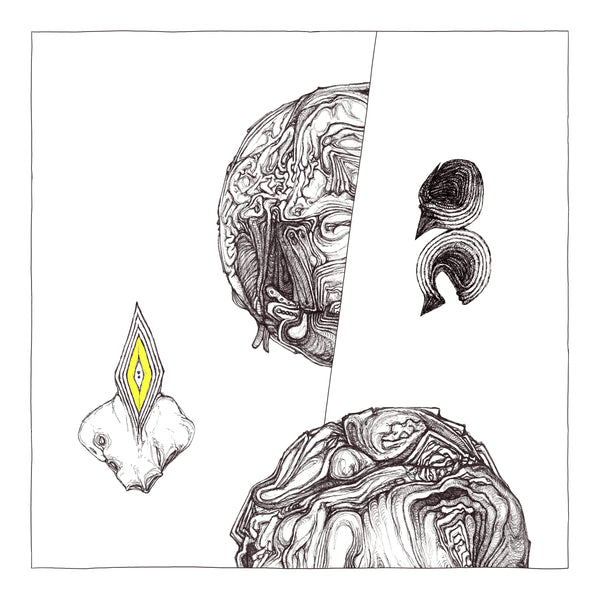 Yolyanko Art Book: "Terrestrial Period" by Yolyanko William