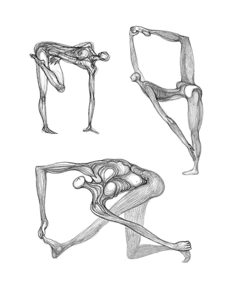 Graphikasana, Hatha Yoga Art by Yolyanko William